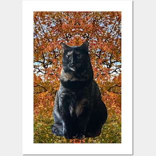 My Other Autumn Kitty Posters and Art